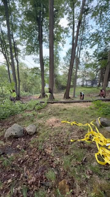 Our crew clearing a wooded lot, a felled trunk across the ground, brush cut back and yellow rigging straps in the foreground.